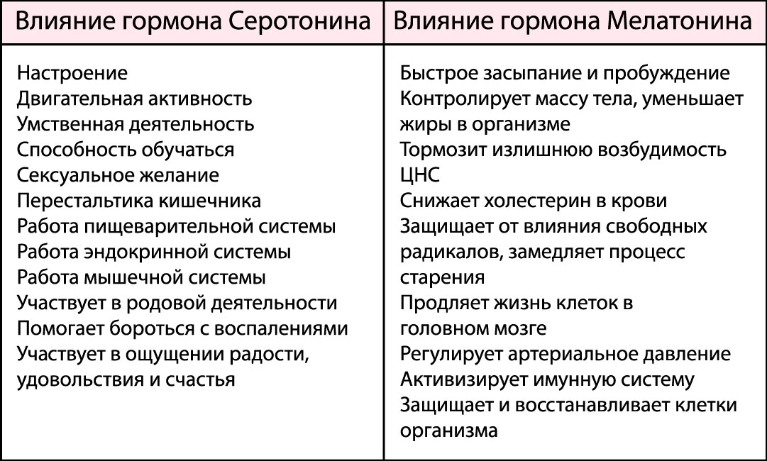 Функции серотонина