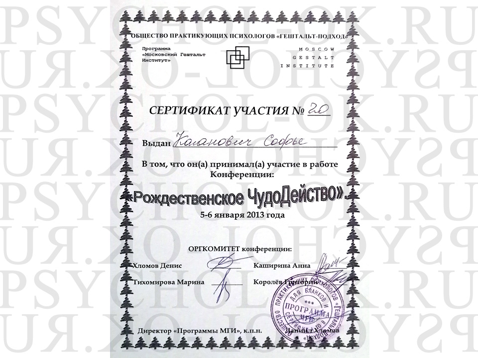 Сертификат МГИ «Рождественское ЧудоДейство»